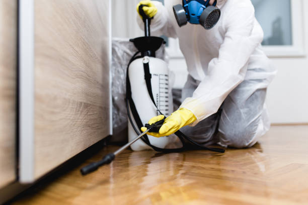 Best Bed Bug Extermination  in Willmsburg, IA