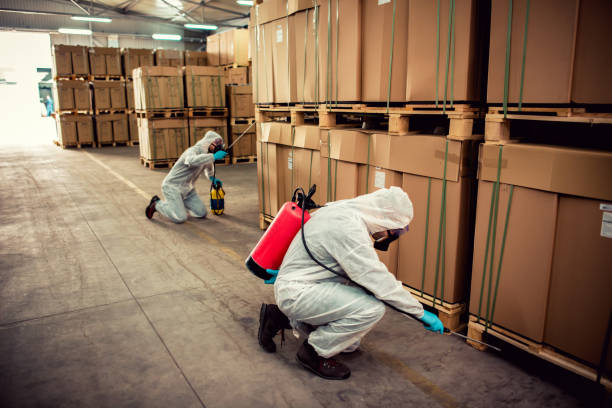 Best Mosquito Control Services  in Willmsburg, IA