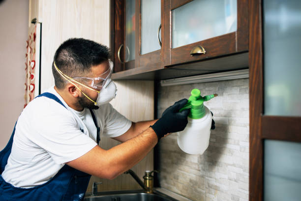 Best Affordable Pest Control Services  in Willmsburg, IA