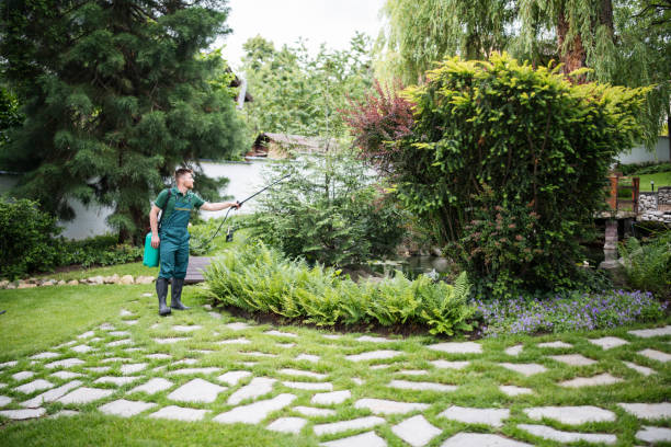 Best Exterminator Services  in Willmsburg, IA