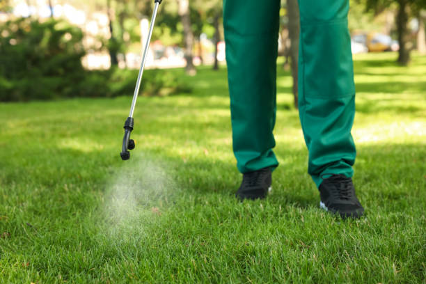 Best Best Pest Control Companies  in Willmsburg, IA