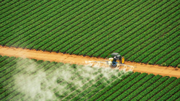 Best Local Pest Control Services  in Willmsburg, IA