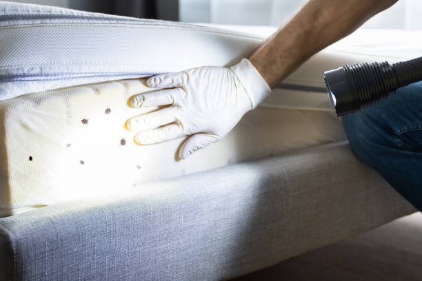 Best Best Pest Control Near Me  in Willmsburg, IA