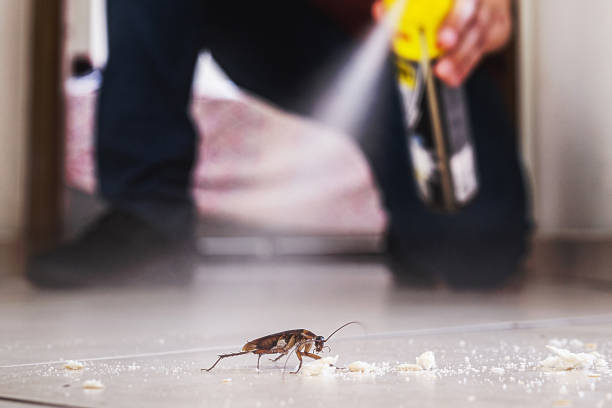 Best Pest Control for Homes  in Willmsburg, IA